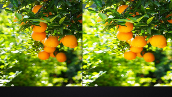 rental led display, compare with comman display